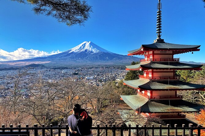 1 Day Private Tour in Mt.Fuji and Hakone English Speaking Driver - Customer Reviews
