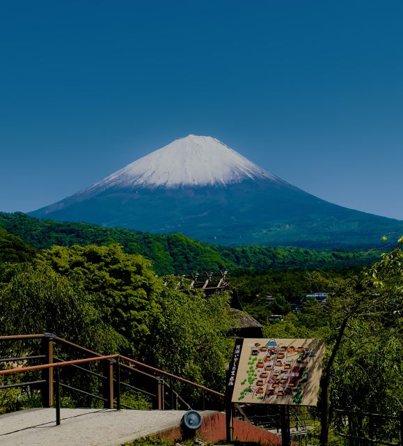 4 Seasons Trip & Tours - Description