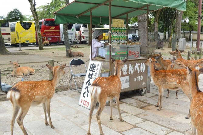 Arashiyama & Yasaka Shrine & Nara & Todaiji Day Trip From Osaka - Frequently Asked Questions
