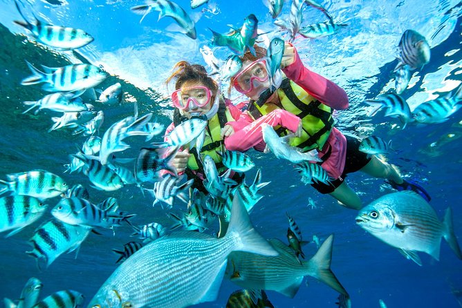 Easily Set Sail by Boat! / Blue Cave Snorkel - Equipment Rental and Life Jacket Requirement