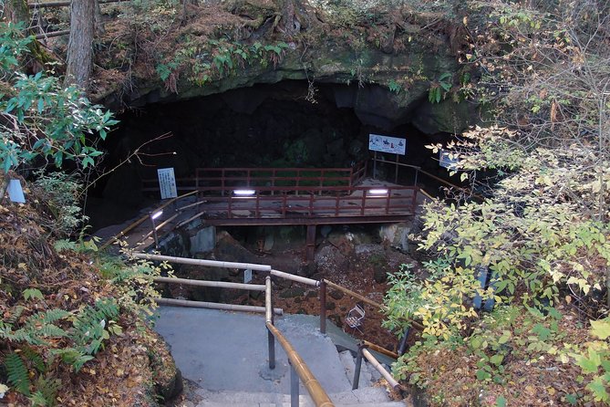 Experience the Stunning Nature of Mt.Fuji - Private Tour - Visual Showcase