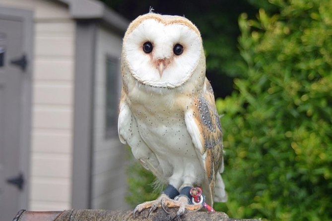 Freely Set up Plans Guided Private Tours in Tokyo - Visitor Appreciation and Gratitude