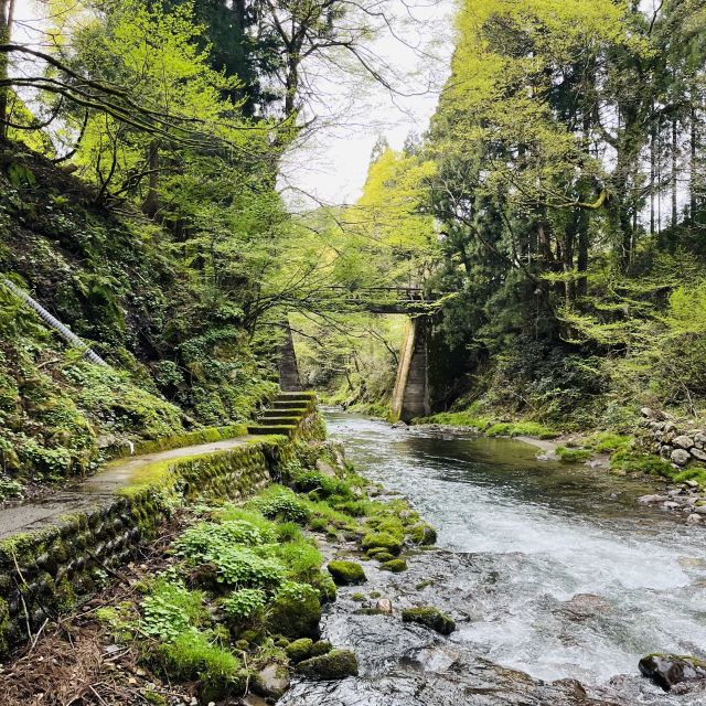 From Echizen With Monk:Private Countryside Tour - Restrictions