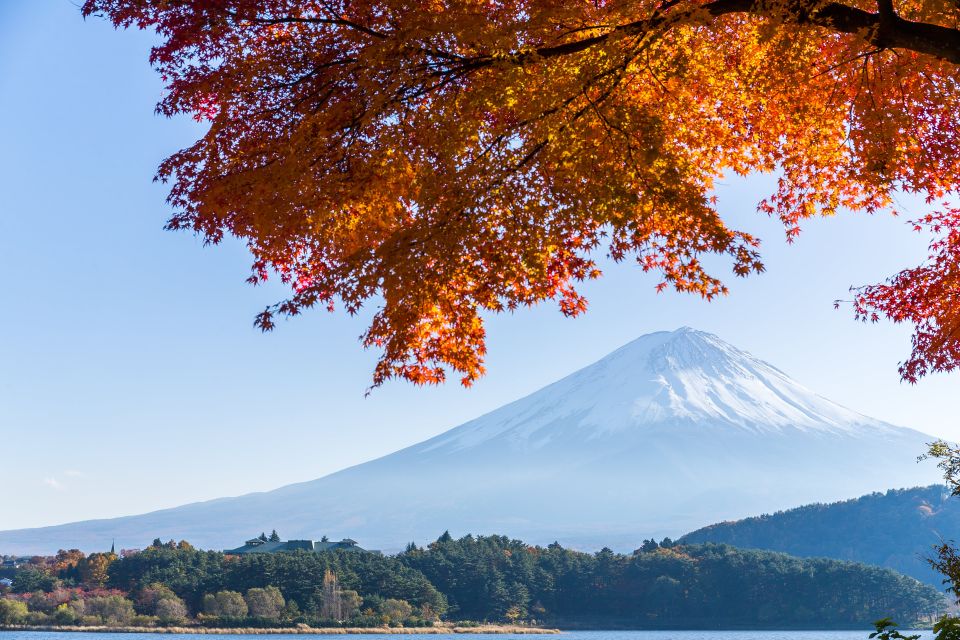 From Tokyo: Mt. Fuji or Hakone Private Sightseeing Day Trip - Additional Information