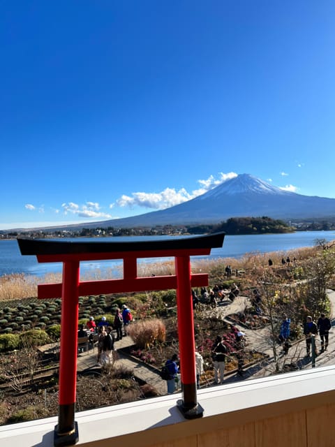 From Tokyo/Yokohama: Private Day Trip to Mt Fuji and Hakone - Customer Reviews