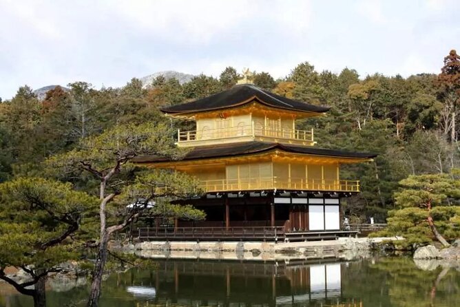 Full Day Kyoto and Nara Guided Tour - Tips for a Successful Tour