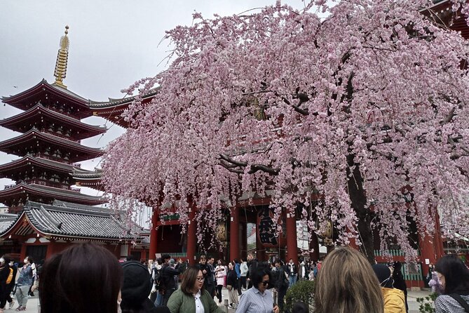 Full-day Private Exploration in Mount Fuji - Safety Precautions and Guidelines