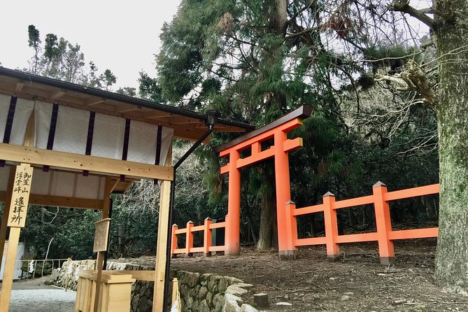 Full-Day Private Guided Tour to Nara Temples - Booking Information