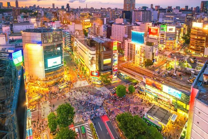 Full Day Private Luxury Tokyo Tour - Safety Measures