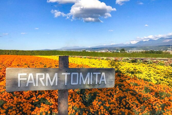 Furano & Biei 4 Hour Tour: English Speaking Driver Only, No Guide - Tour Duration and Pickup