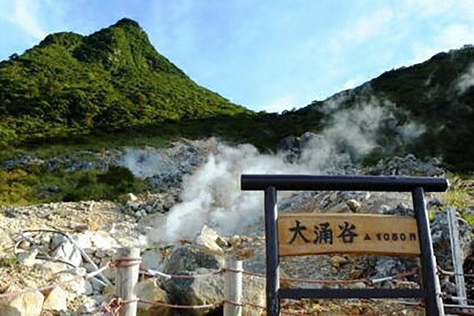 Hakone Day Tour With Lake Ashi Cruise and Ohwakudani - Last Words