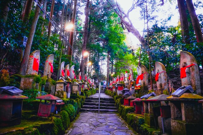Hidden Gems of Osaka Kyoto Nara - Private Car Tour by Local Guide - Tour Inclusions