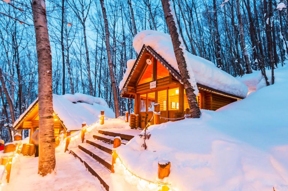 Hokkaido: Asahiyama Zoo, Furano, and Ningle Terrace Tour - Itinerary