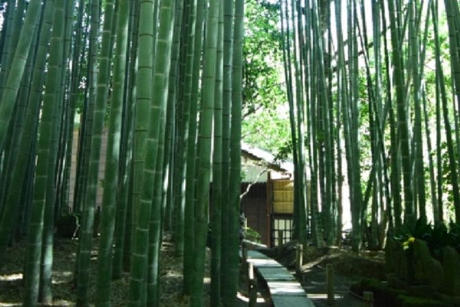 Kamakura Bamboo Forest and Great Buddha Private Tour - Transportation Details