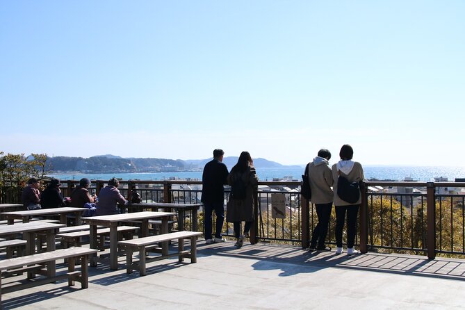 Kamakura Private Walking Tour (With Local Experience in Option) - Common questions