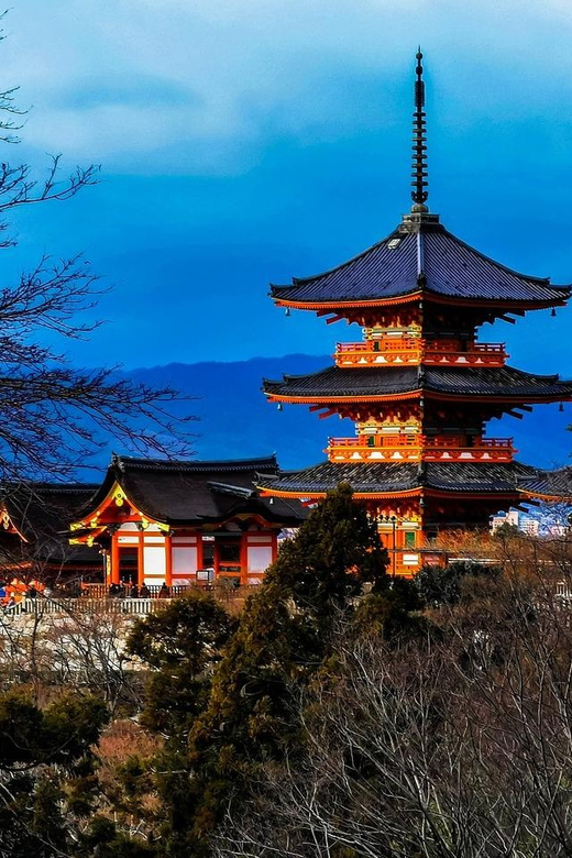 Kansai 10-Hour Chartered Day Trip|Kyoto - Important Booking Information