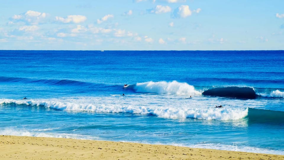 Kanto 10-Hour Chartered Day Trip| Izu - Itinerary Recommendation for Izu