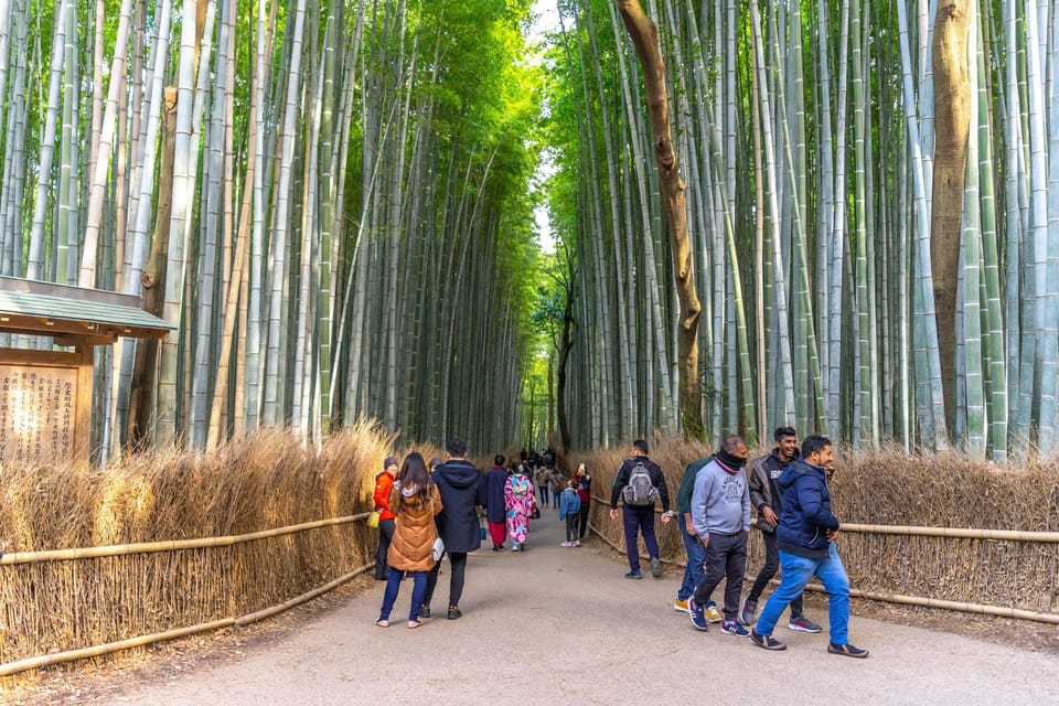 Kyoto: Arashiyama Forest Trek With Authentic Zen Experience - Important Info