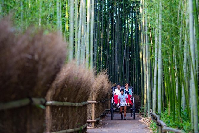 Kyoto Arashiyama Rickshaw Tour With Bamboo Forest - Contact and Communication Information