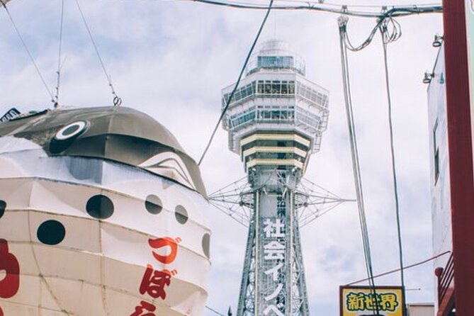 Kyoto, Osaka, Nara Private Tour by Car English Driver Guide - Tour Destinations and Experiences