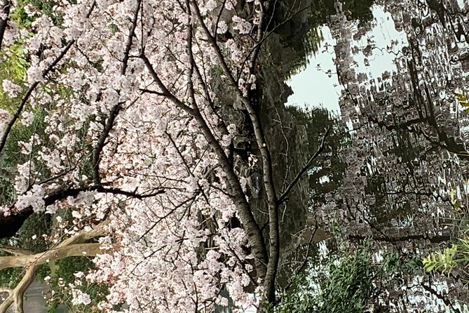 Mount Fuji: Private, Customized Tour From Tokyo - Last Words