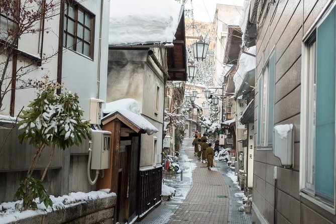 Nagano Full-Day Biking Tour With Snow Monkey and Obuse Town 2024 - Additional Information and Policies