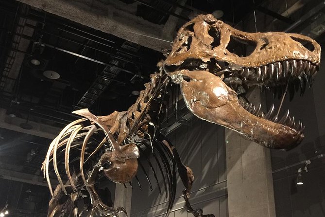 Nagoya / Aichi Half-Day Private Custom Tour With National Licensed Guide - Frequently Asked Questions