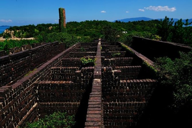 Naoshima Full-Day Private Tour With Government-Licensed Guide - Islands Artistic Transformation