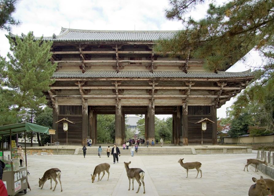 Nara: Audio Guide Delve Into Todai-Ji & Kasuga Taisha - Frequently Asked Questions