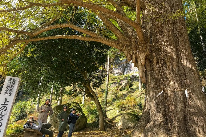 Nasu: Private Bike Tour and Farm Experience 2024 - Nasu-machi - Logistics and Pickup Details