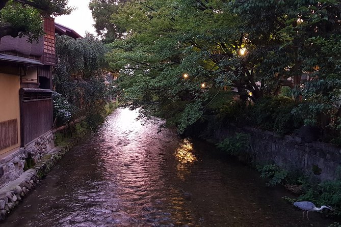 Nighttime All-Inclusive Local Eats and Streets, Gion and Beyond - Culinary Experiences and Sampling