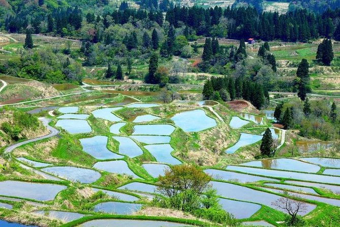 Niigata Private Artistry Tour - Directions