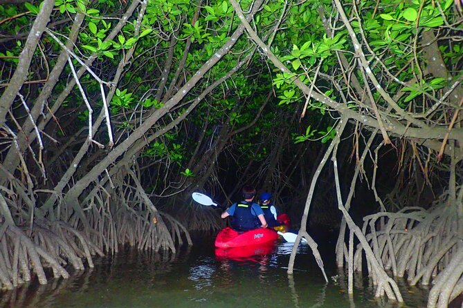 [Okinawa Miyako] Great Adventure! Starry Night Canoe!! - Directions and Recommendations