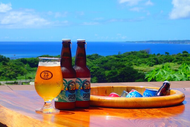 Okinawa Scuba Diving for Certified Divers (3 Boat Dives Lunch) - Post-Dive Experience