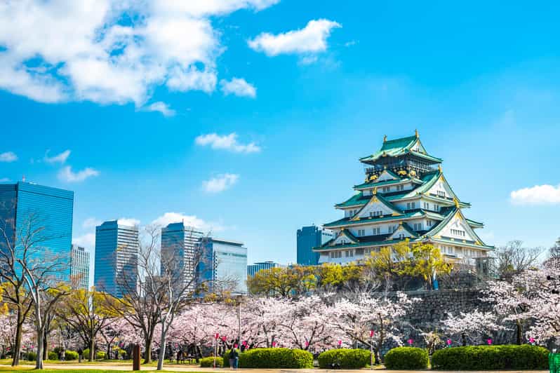 Osaka: 1-Day Private Customizable Trip by Car - Booking Process