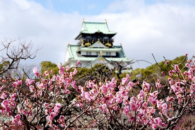 Osaka Cherry Blossom Tour With a Local: 100% Personalized Private - Meeting Point Flexibility