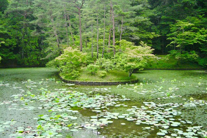 Personalized Half-Day Tour in Kyoto for Your Family and Friends. - Price Information