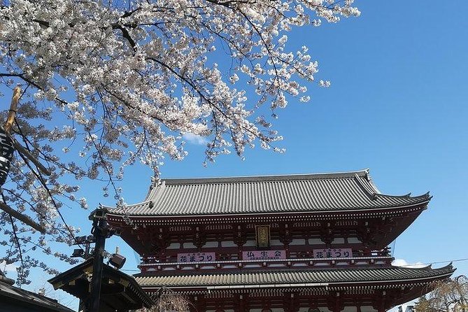 Private Full-Day Cherry-Blossom Tour of Tokyo With Tsukiji - Additional Details