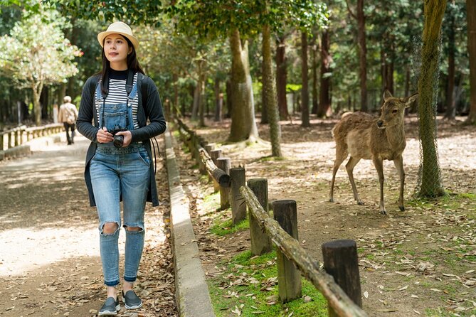 Private Journey in Nara's Historical Wonder - Additional Tips and Recommendations