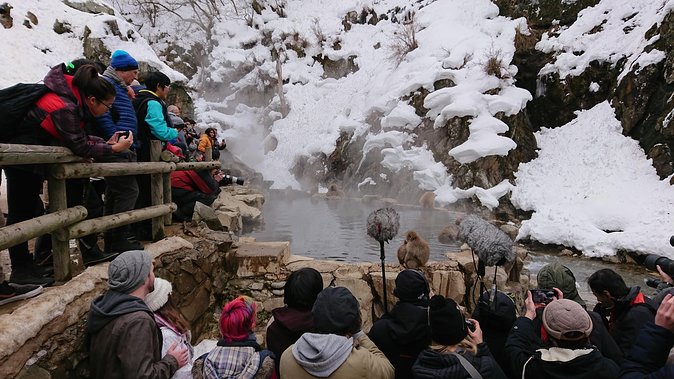 Snow Monkey, Shiga Kogen Roman Museum With Lunch Buffet - Directions