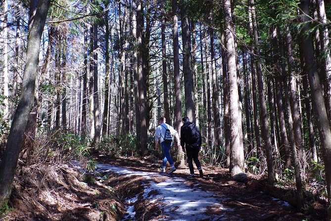 Togakushi Shrine Hiking Trails Tour in Nagano - Booking Details