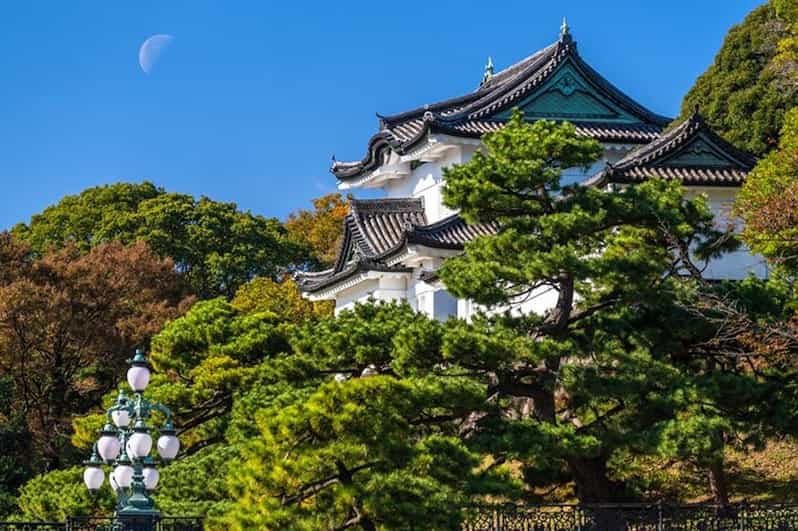 Tokyo: Chiyoda Imperial Palace Walking Tour - Important Information