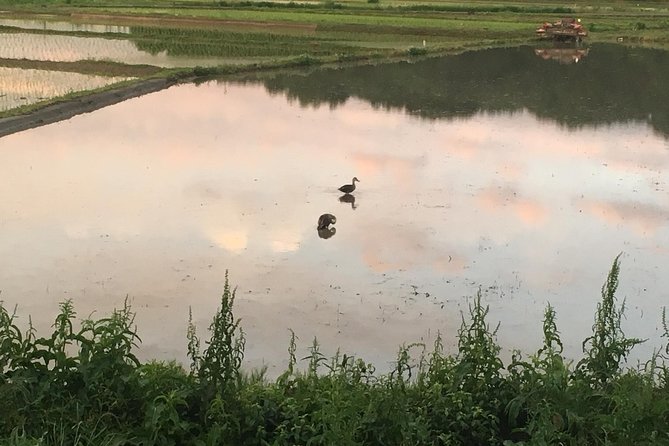 Tokyo Countryside Exploration Private Tour - Weather Considerations