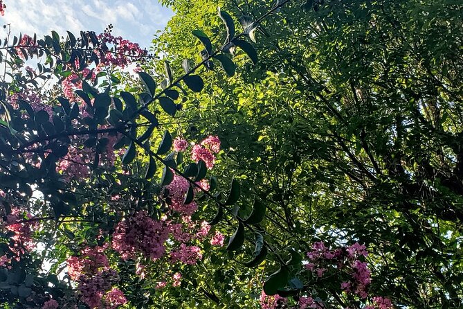 Tokyo Meguro River Private Cultural Tour With Licensed Guide - Additional Information