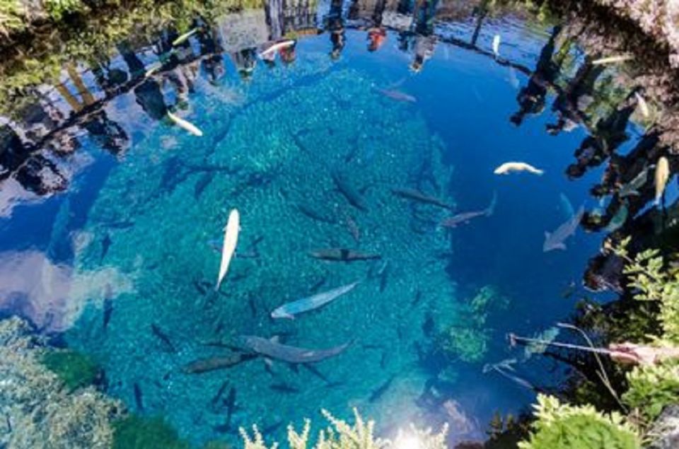 Tokyo: Mt.Fuji, Oshino Hakkai, and Outlets Full-Day Trip - Frequently Asked Questions