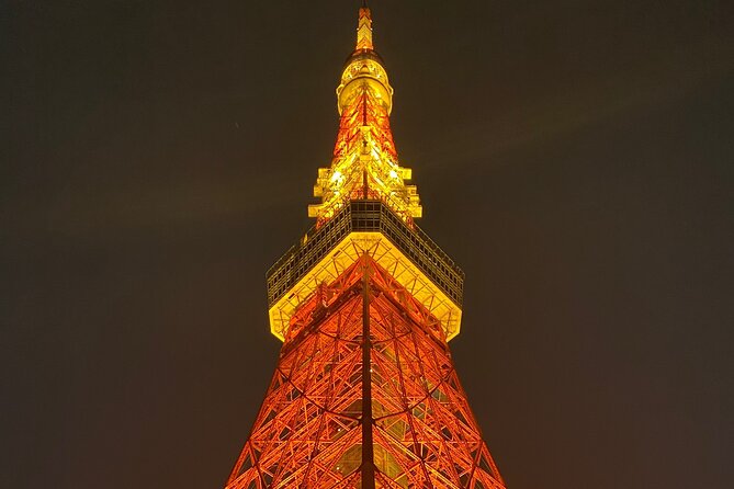 Tokyo Private Custom Day Tour With English Speaking Chauffeur - Assistance and Support Options