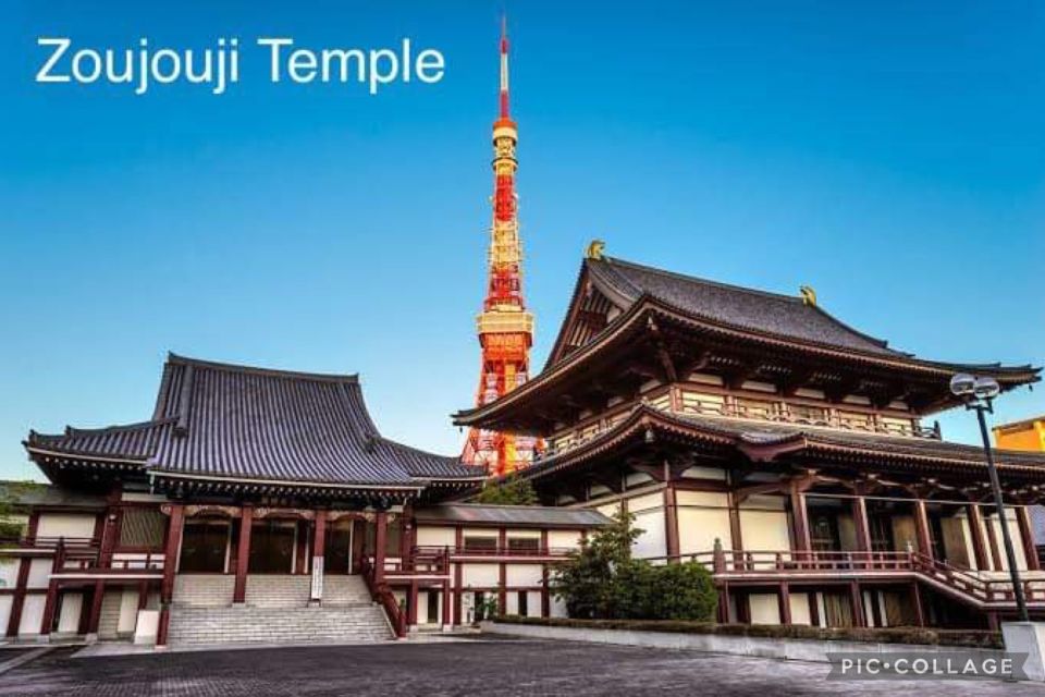 Tokyo: Private Full Day Sightseeing Tour - Important Information