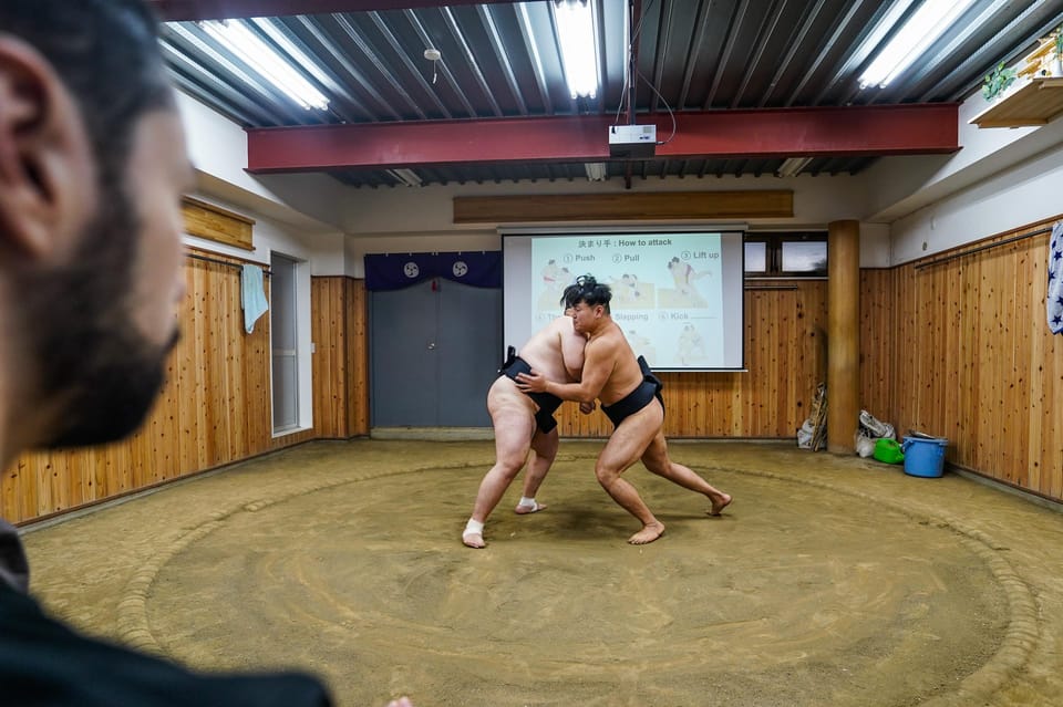 Tokyo: Sumo Wrestling Experience With Lunch - Customer Reviews