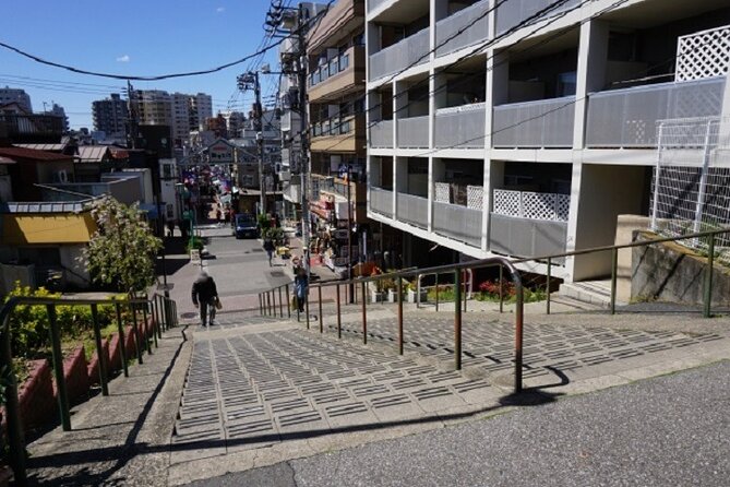 Yanaka Guided Walking Tour With Topography Expert - Common questions