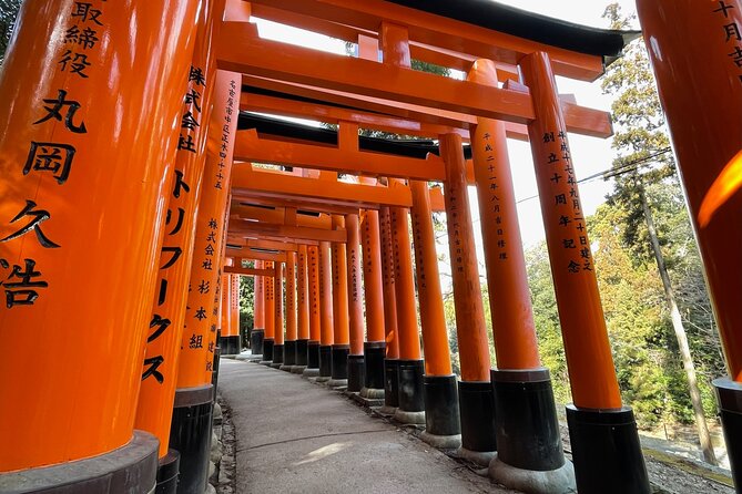 1 Day Kyoto Tour With a Local Guide - Pricing and Discounts